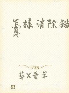 怎样消除猫咪口臭