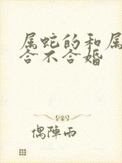 属蛇的和属羊的合不合婚