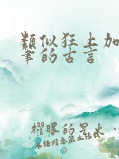 类似狂上加狂文笔的古言