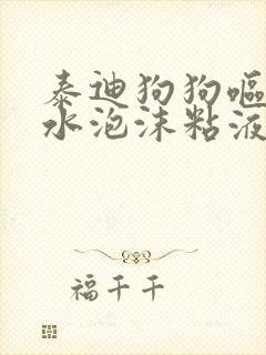 泰迪狗狗呕吐黄水泡沫粘液原因