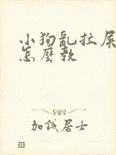 小狗乱拉屎拉尿怎么教