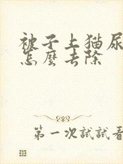 被子上猫尿骚味怎么去除