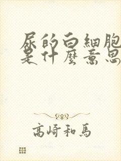 尿的白细胞2 是什么意思