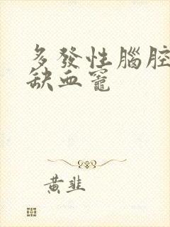 多发性脑腔隙灶缺血灶