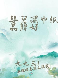 婴儿湿巾纸哪个品牌好