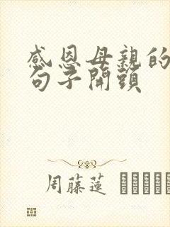 感恩母亲的唯美句子开头