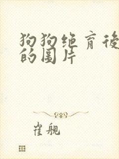 狗狗绝育后蛋蛋的图片