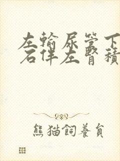 左输尿管下段结石伴左肾积液