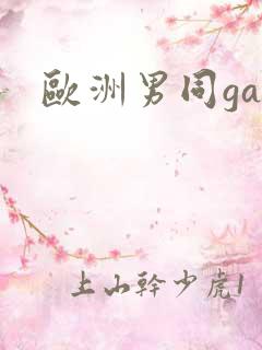 欧洲男同gay