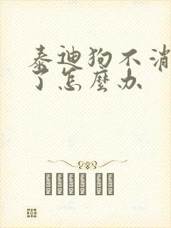 泰迪狗不消化吐了怎么办