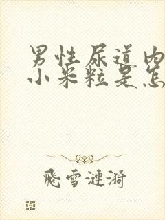 男性尿道内侧长小米粒是怎么回事