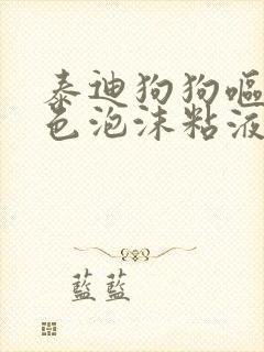 泰迪狗狗呕吐白色泡沫粘液