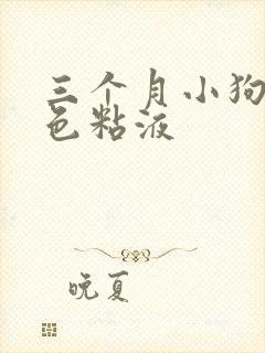 三个月小狗吐白色粘液