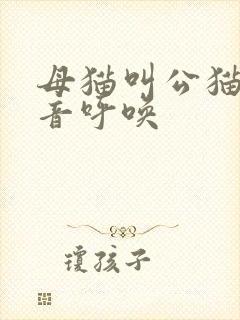 母猫叫公猫的声音呼唤