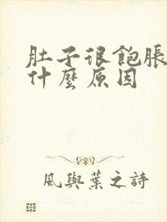 肚子很饱胀气是什么原因