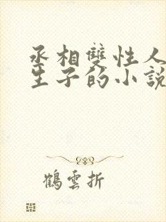 丞相双性人是受生子的小说