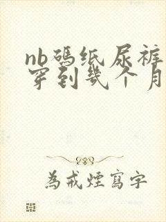 nb码纸尿裤能穿到几个月