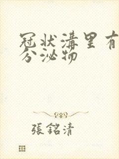 冠状沟里有黄色分泌物