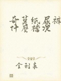 奇莫纸尿裤属于什么档次