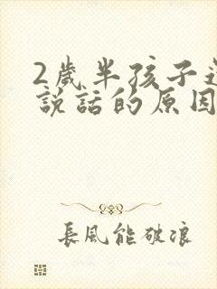 2岁半孩子还不说话的原因