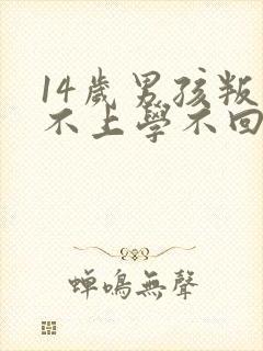 14岁男孩叛逆不上学不回家怎么办