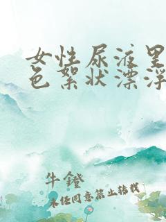 女性尿液里有白色絮状漂浮物