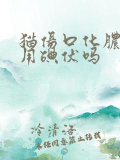 猫伤口化脓可以用碘伏吗