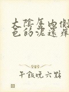 大阴唇内侧有白色的泥还痒