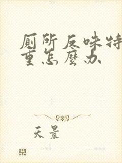 厕所反味特别严重怎么办