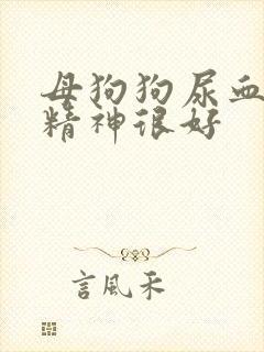 母狗狗尿血但是精神很好