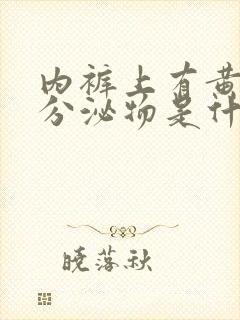 内裤上有黄色的分泌物是什么原因女性