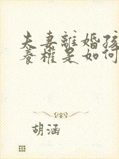 夫妻离婚孩子抚养权是如何判定的