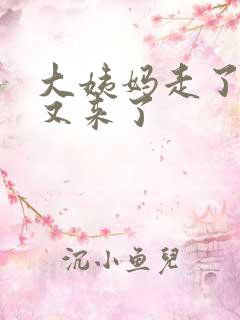 大姨妈走了两天又来了