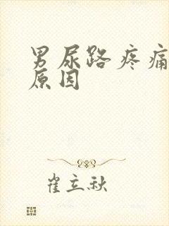 男尿路疼痛什么原因