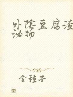 外阴豆腐渣样分泌物