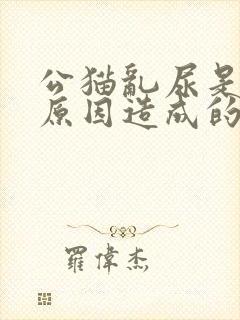 公猫乱尿是什么原因造成的