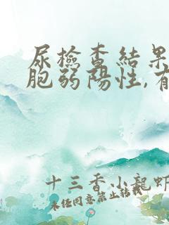 尿检查结果白细胞弱阳性,有问题吗