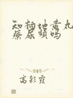 知柏地黄丸能治疗尿频吗