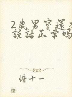 2岁男宝还不会说话正常吗