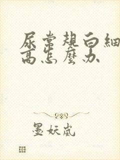 尿常规白细胞太高怎么办