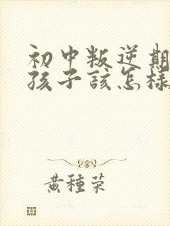 初中叛逆期的男孩子该怎样去沟通教育