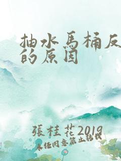 抽水马桶反臭味的原因