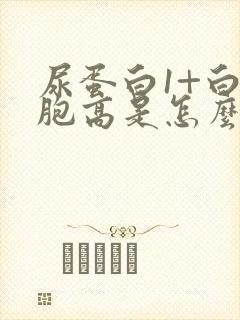 尿蛋白1+白细胞高是怎么回事