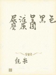 尿液呈黑色是什么原因