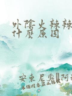 外阴火辣辣疼是什么原因