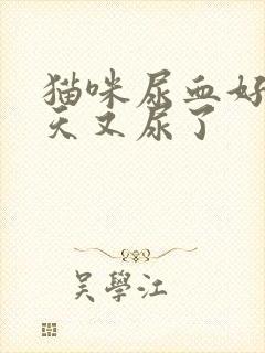 猫咪尿血好了几天又尿了