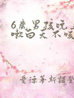 6岁男孩晚上咳嗽白天不咳