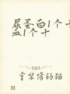 尿蛋白1个十隐血1个十