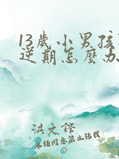 13岁小男孩叛逆期怎么办