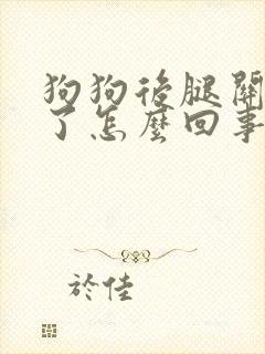 狗狗后腿关节肿了怎么回事